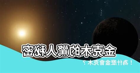 金克木 意思